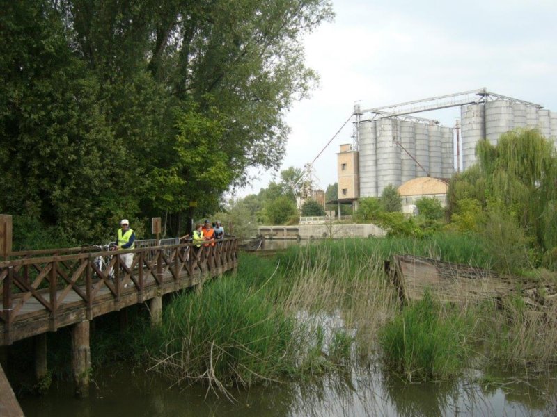 photo13.jpg