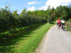 dsc08140_small.jpg