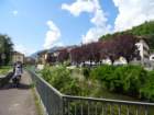 dsc08145_small.jpg