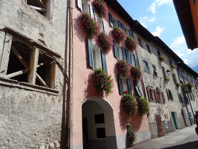 dsc08174.jpg