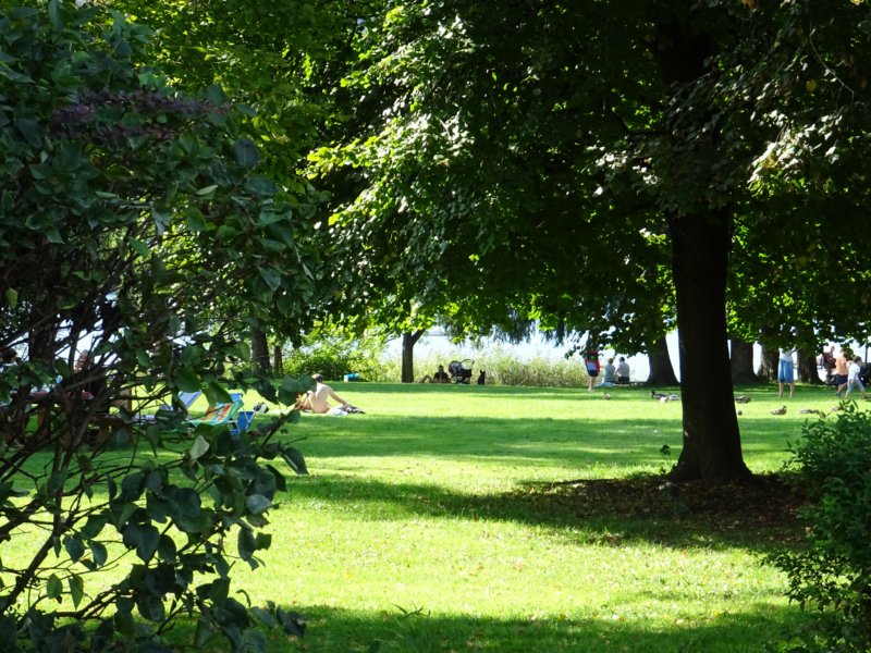 dsc08202.jpg
