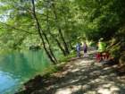 dsc08210_small.jpg