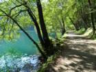 dsc08211_small.jpg