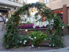 dsc08245_small.jpg