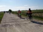 dsc02060_small.jpg