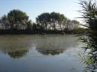 dsc02240_small.jpg
