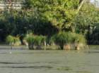 dsc02243_small.jpg