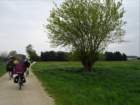 dsc000082_small.jpg