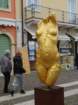 dsc00026_small.jpg