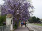 dsc000712_small.jpg