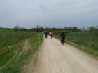 dsc000752_small.jpg
