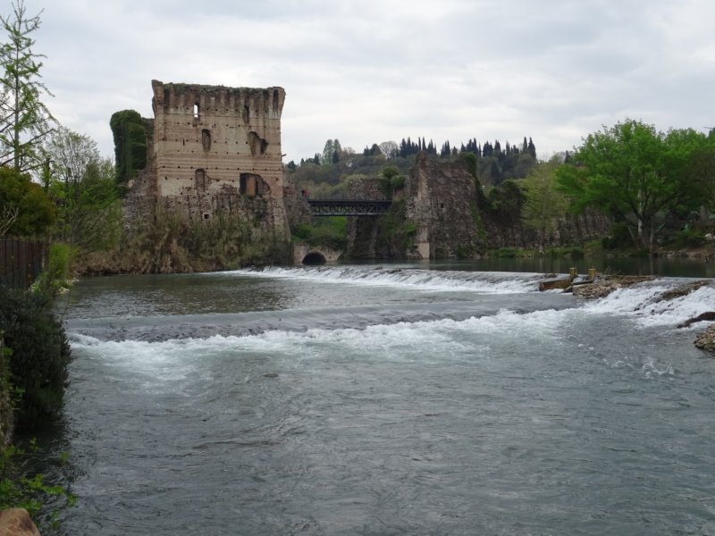 dsc00111.jpg