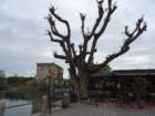 dsc00122_small.jpg