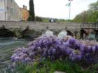 dsc00128_small.jpg