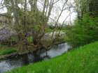 dsc00153_small.jpg