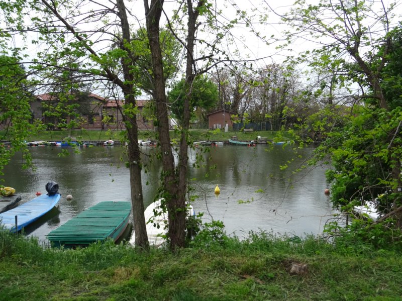 dsc00168.jpg