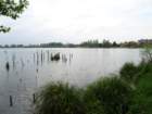 dsc00176_small.jpg