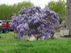 photo2_small.jpg