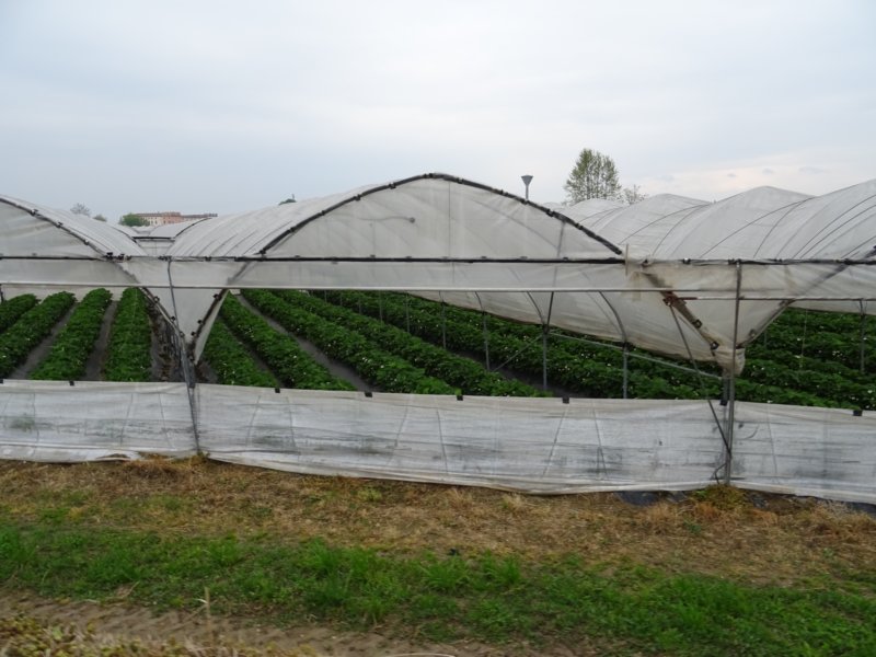 photo6.jpg