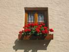 img_0030_small.jpg