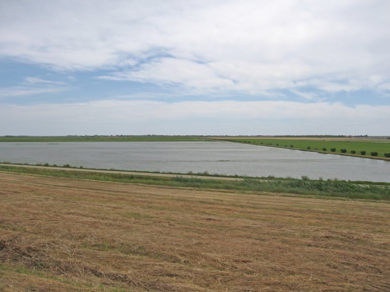 photo15.jpg