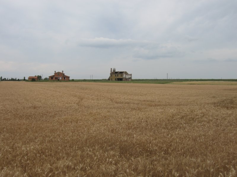 photo22.jpg