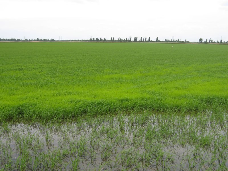 photo23.jpg