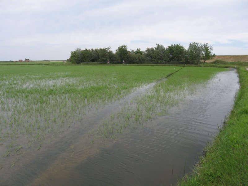 photo24.jpg