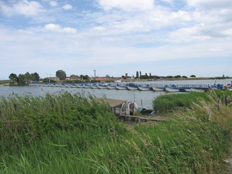 photo35.jpg