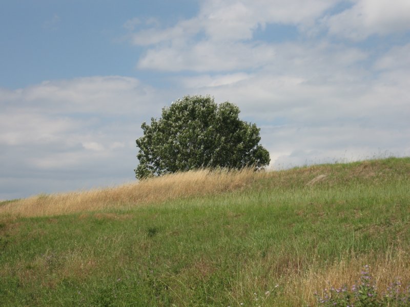 photo45.jpg