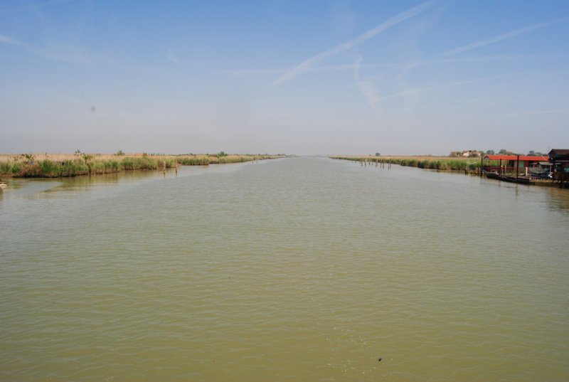 dsc_0497.jpg