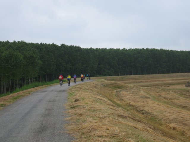 img_3610.jpg