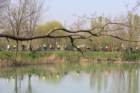 img_9603_small.jpg