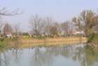 img_9607_small.jpg