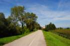 dsc_0060_small.jpg