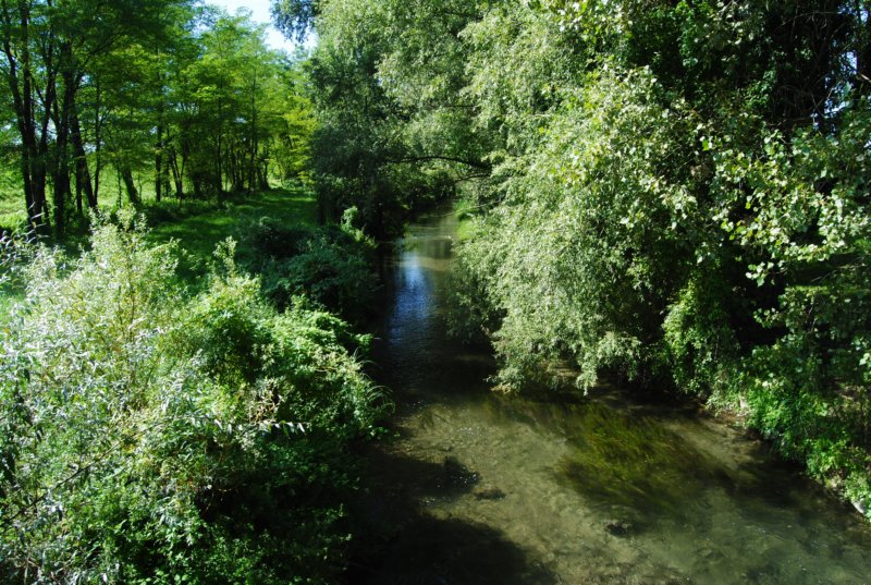 dsc_0063.jpg