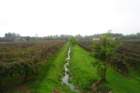 dsc_0490_small.jpg