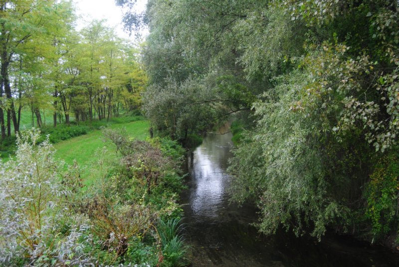 dsc_0497.jpg
