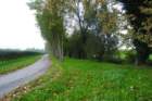 dsc_0498_small.jpg