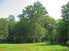 photo4_small.jpg