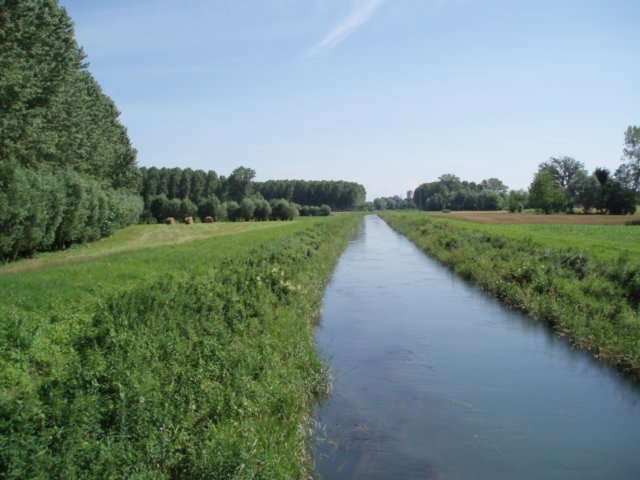 p15.jpg