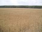 p23_small.jpg