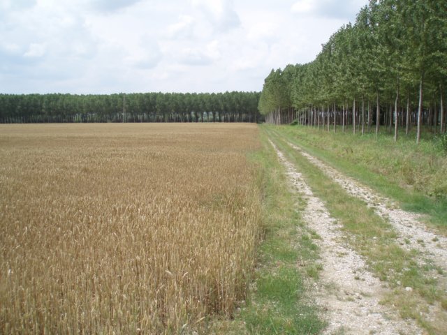 p24.jpg