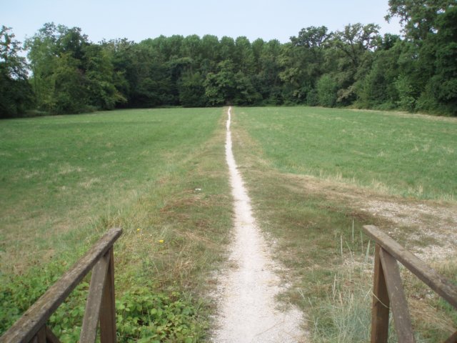 p7080008.jpg