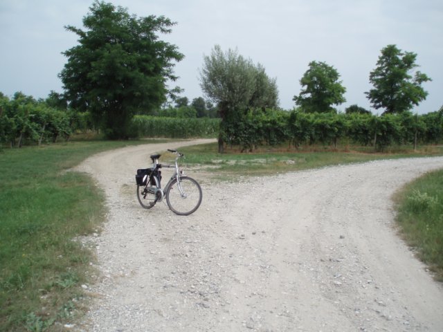 p7080039.jpg
