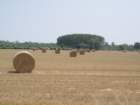 p7080054_small.jpg