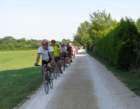 dsc00297_small.jpg