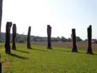 dsc00309_small.jpg