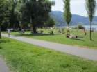 dsc00404aa_small.jpg