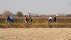 dsc04022_small.jpg